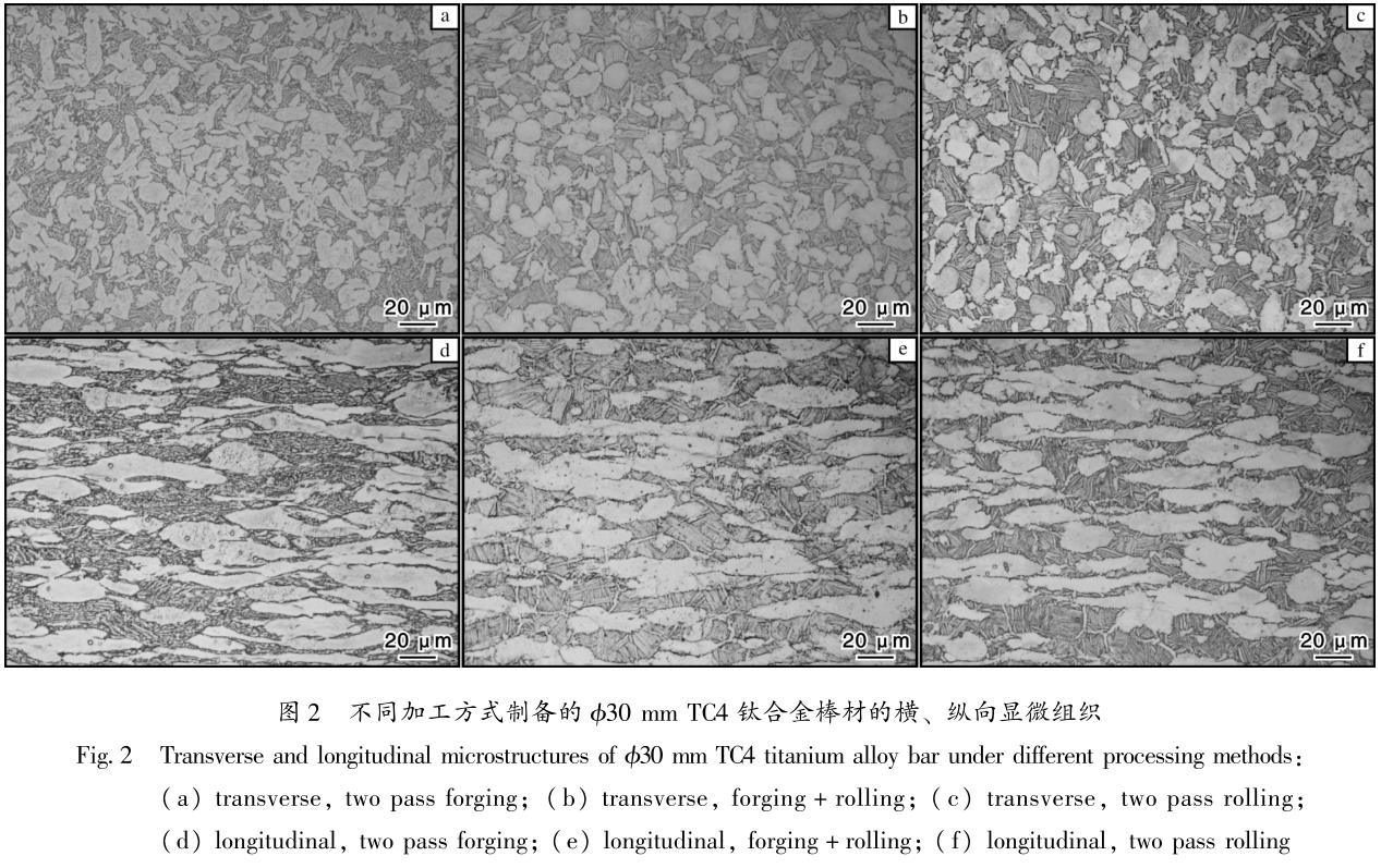 1695714917320295.jpg t2.jpg