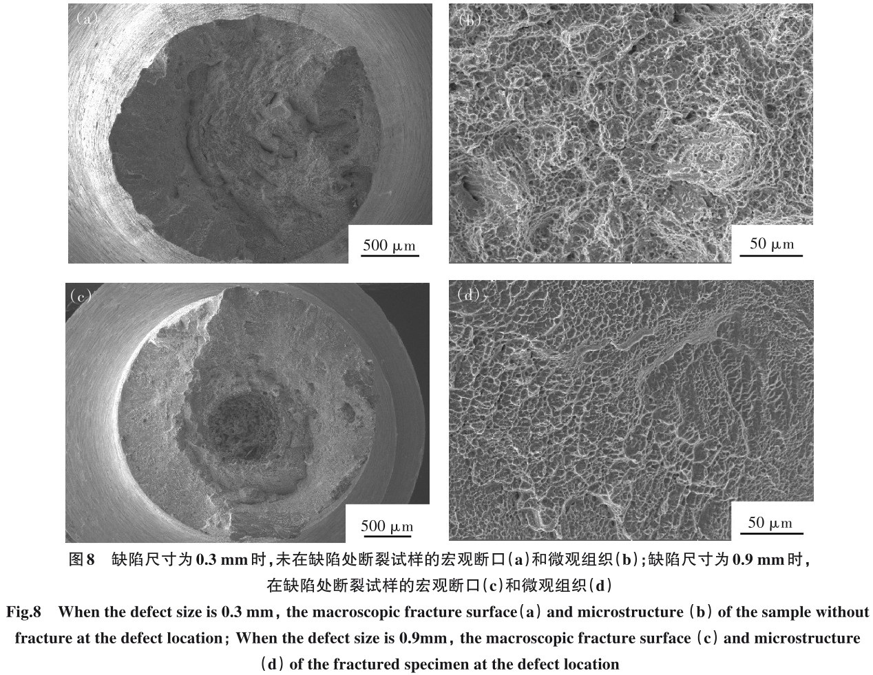 1704850842788747.jpg t8.jpg