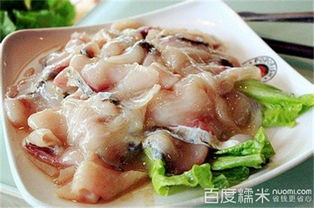 魔石泡泡魚 以特色餐飲撬動加盟市場，打造品質(zhì)餐飲新標桿