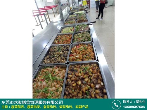 茶山中學食堂承包資質探析 以龍發(fā)膳食餐飲管理為例